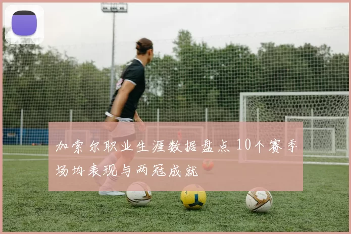 加索尔职业生涯数据盘点 10个赛季场均表现与两冠成就