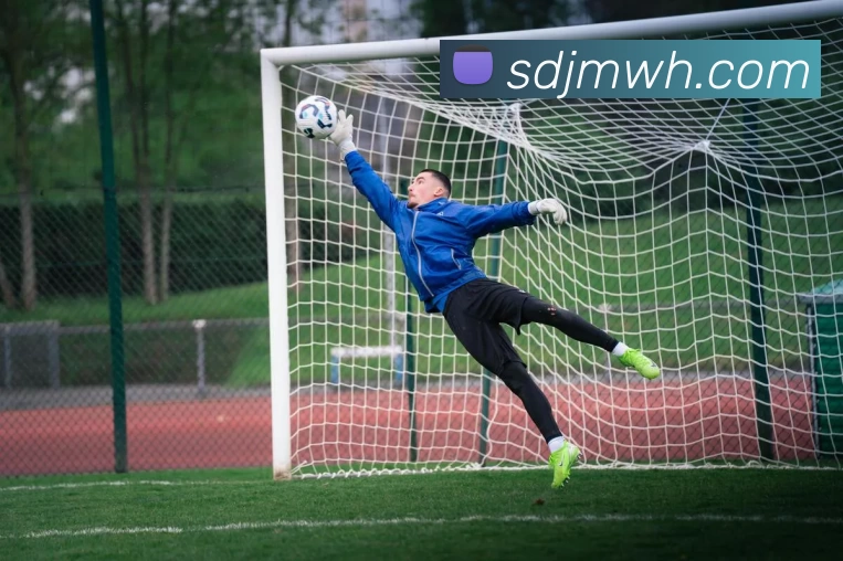 多媒体互动体验